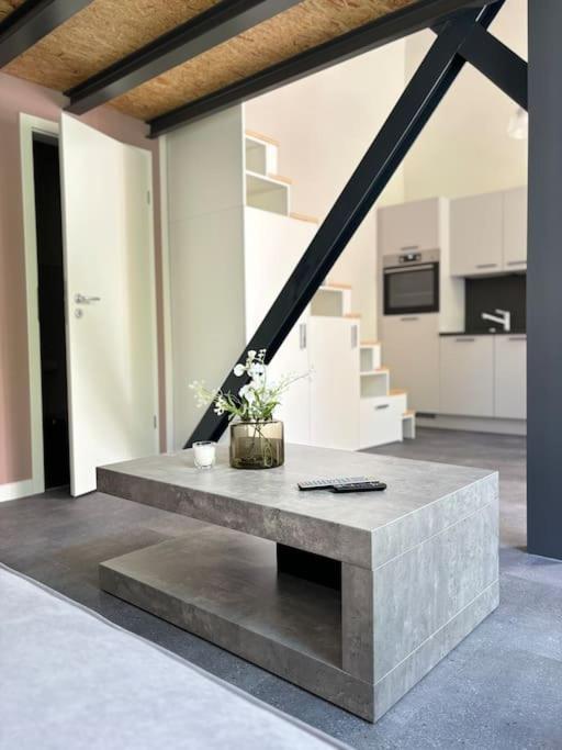 Apartment X-loft *